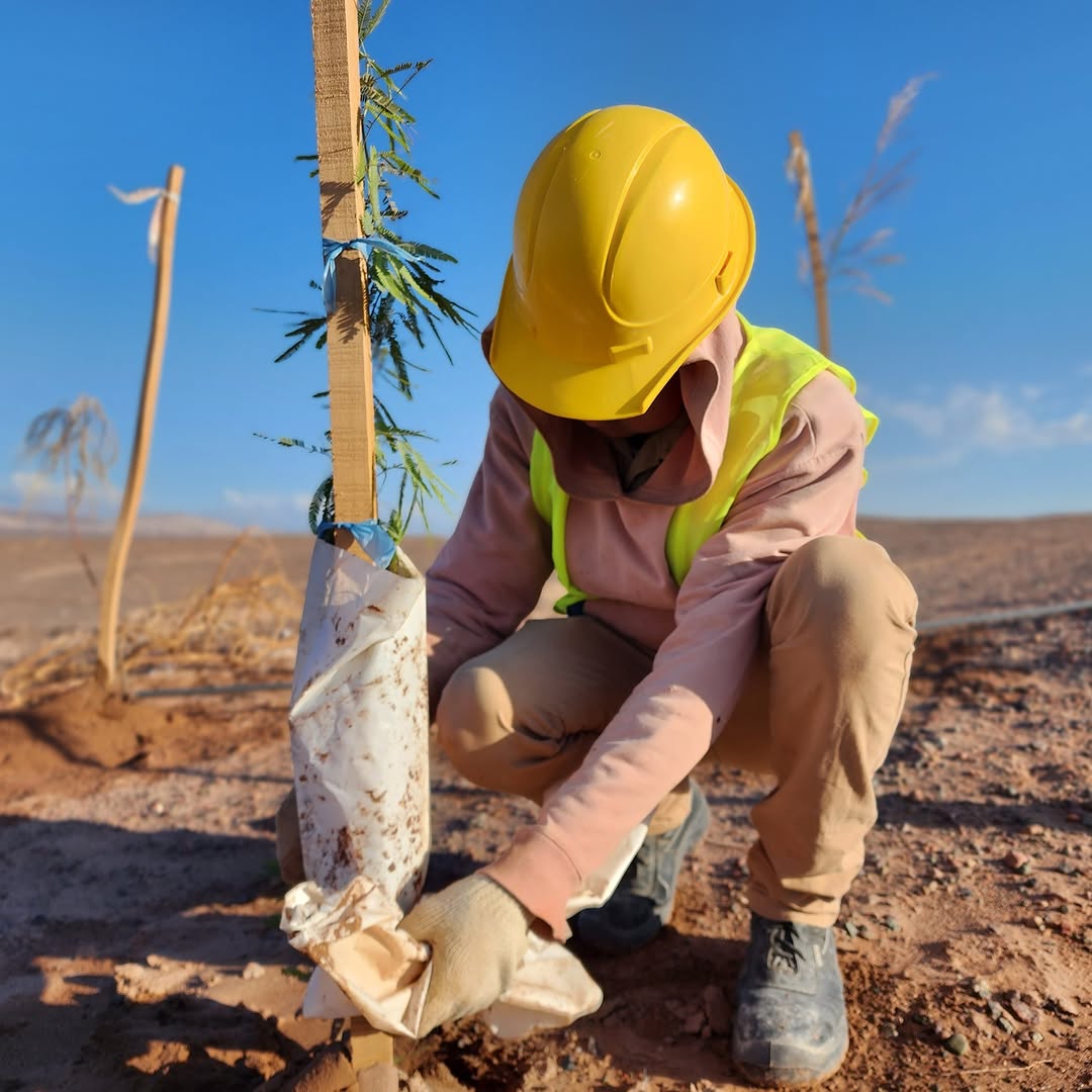 SUSTENTABILIDAD Y VINCULACIÓN COMUNITARIA: PILARES FUNDAMENTALES EN ZIJIN-LIEX